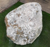 Bubbling Moss Rock - 112